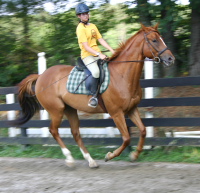 Friend of Bits & Bytes Kimberly Horne and Light Artillery.