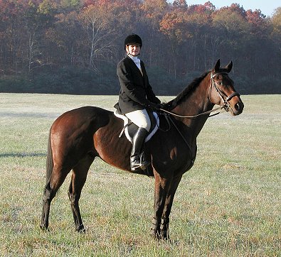 Lord Sexton's first fox hunt