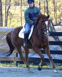 Lucky - January 17, 2005 