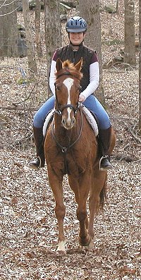 Lucky and Rose enjoy a ride in the woods.