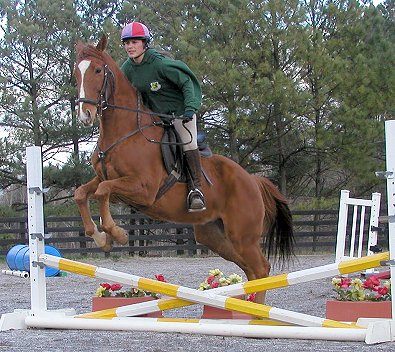 Lucky Strike - Thoroughbreds for sale at Bits & Bytes Farm.