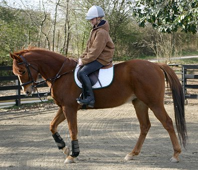 Lucky - January 15, 2005 