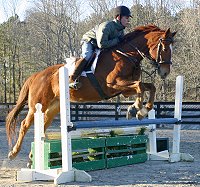 Boltoflighting  aka "Lucky"