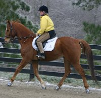 Lucky and Jennifer Lind riding in an ice storm.