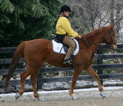Lucky and Jennifer riding in an ice storm.