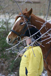 Lucky and Jennifer during the ice storm.