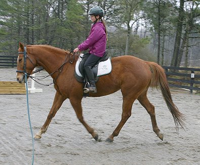 Lucky and Samantha on the lunge line.