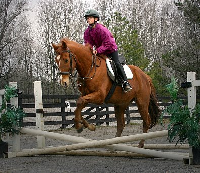 Lucky and Samantha started on the lunge line and finished jumping the mini coop.
