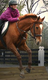 Lucky and Samantha take the mini coop.