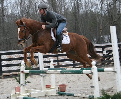Horse for sale - "Lucky". January 29, 2008 