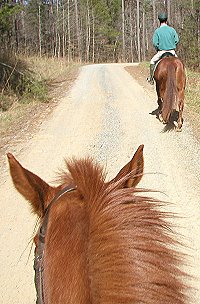 Lucky and Sir Cahill on the trails.