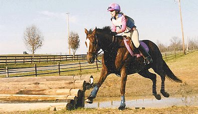 Lylle was a former Bits & Bytes Farm horse for sale.