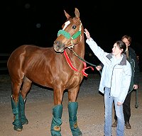 Meg's mother Mary Jo purchased Lylle in March 2004. 