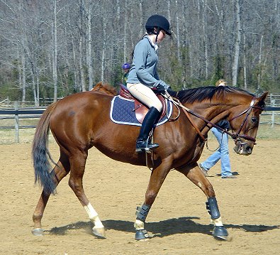 One year anniversary for Lylle and Meg.