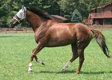 Lylle - September 2005