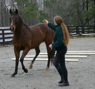 Lise Matte - The horse whisperer.