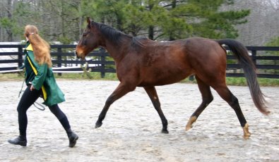 Lise had My Sparky Boy following her all around the arena.