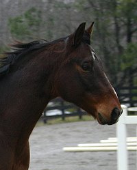  My Sparky Boy is kind and sweet.