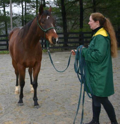 Lise Matte teaching My Sparky Boy to lunge. January 23, 2006