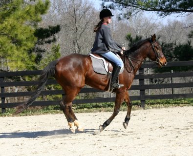 Jessica Crafton on My Sparky Boy.