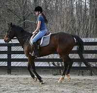My Sparky Boy is very balanced at the canter. 