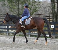 My Sparky Boy - February 24, 2006