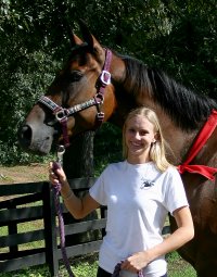 Painted Dancer was a Thoroughbred Prospect Horse for sale.