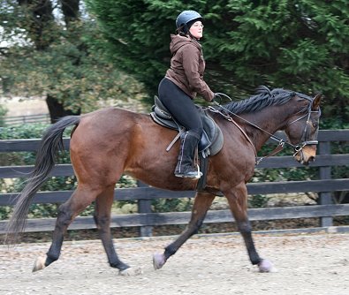 A well balanced rider makes for a happy horse.