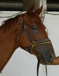 Newer June Prospect eight.