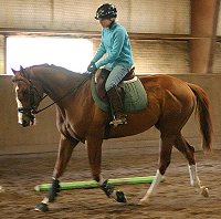 Freddie will be at the farm on Sunday.