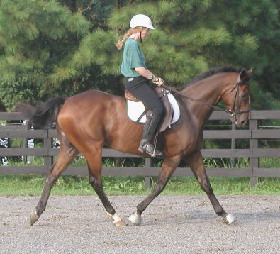 Bits & Bytes Farm Roary