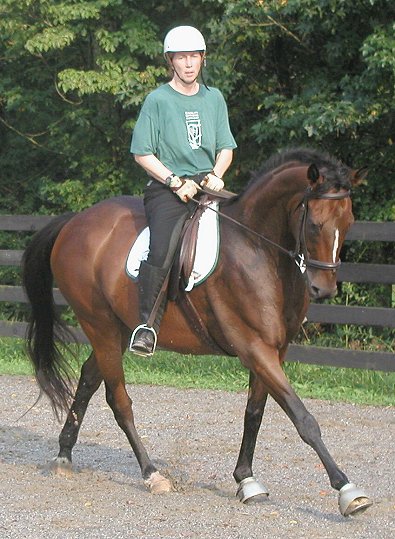 Bits & Bytes Farm Roary