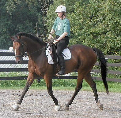 Bits & Bytes Farm Roary