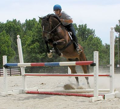 Dean Graham - Eventing instructor