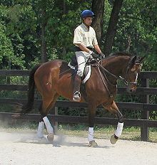 Imtiaz Anees riding Roary