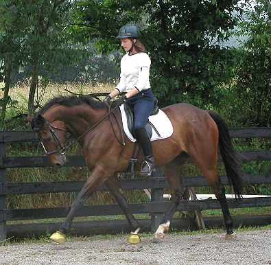 Megan Fischer- Dressage instructor