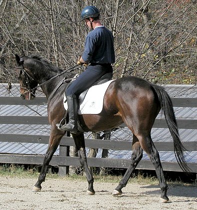 RU Ready to Rumble at Bits & Bytes Farm