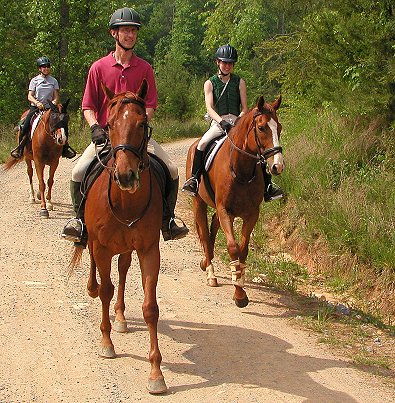 Secret loves to trail ride
