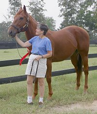 The mission of Bits & Bytes Farm is train and find loving homes for Thoroughbreds off-the-track. 