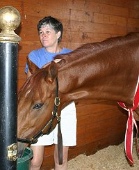 Secret enjoys a drink of water in his new stall.