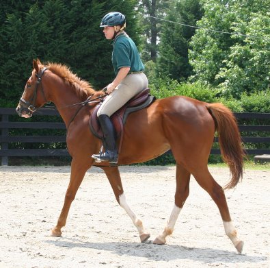 Sally and Shenandoah King take a test ride. June 4, 2005