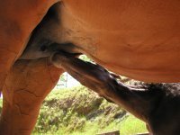 Sandra's Squan and Westmark - May 12, 2005