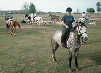 Smokey is not afraid of the hounds.