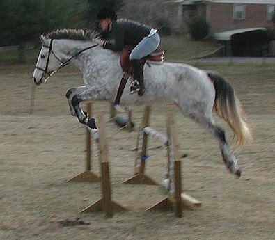 Smokey and Amy take a practice fence.