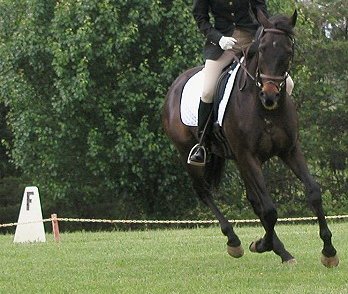 Snake Proof at his first competition