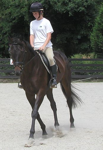 Snake Proof & Morgan