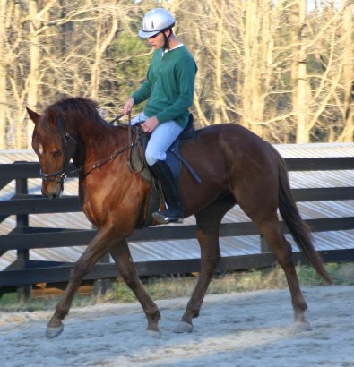 Straw Boy - December 20, 2004