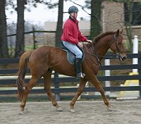 Straw Boy and Harry at Bits & Bytes Farm