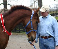 Straw Boy has been sold!