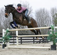 Mactavish prefers jumping to dressage.